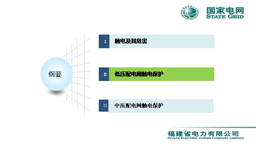 配電網(wǎng)觸電保護(hù)技術(shù)與服務(wù)——會(huì)議報(bào)告